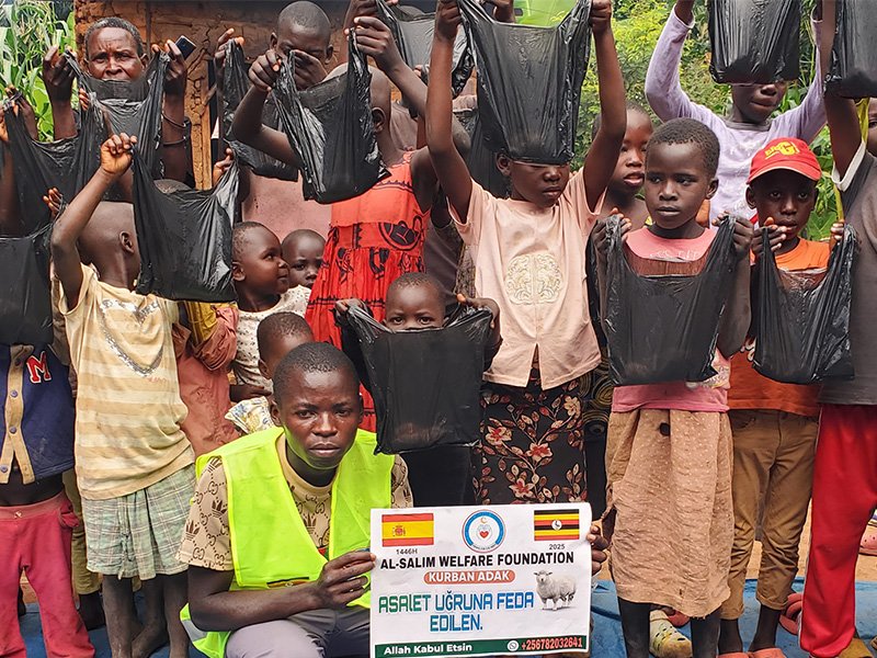 Where Your Donation Goes: